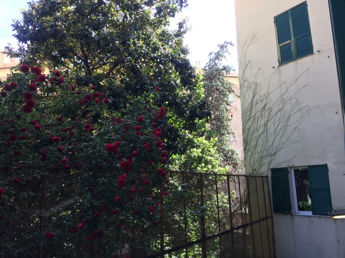 Casa Brigida